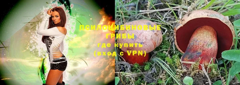 Галлюциногенные грибы MAGIC MUSHROOMS  сколько стоит  Покачи 