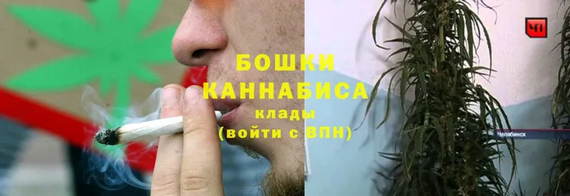 наркотики  OMG ССЫЛКА  Конопля сатива  Покачи 